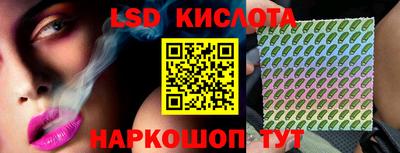 гашик Кандалакша